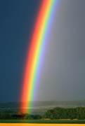 regenbogen 33 liste